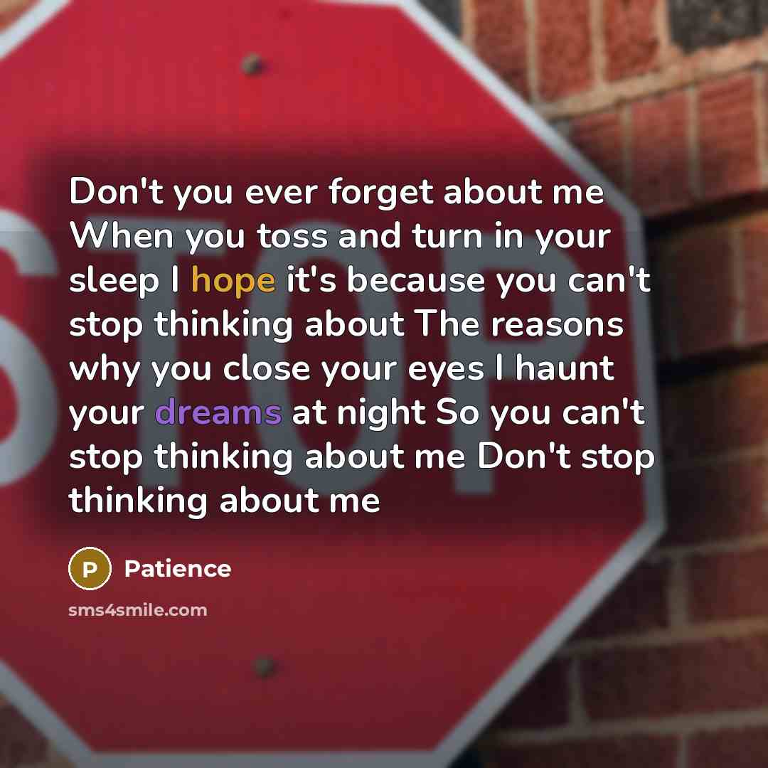 “Don't you ever forget about me When you toss and turn in your sleep I hope it's because you can't stop thinking about The reasons why you close your eyes I haunt your dreams at night So you can't stop thinking about me Don't stop thinking about me” quote by Patience