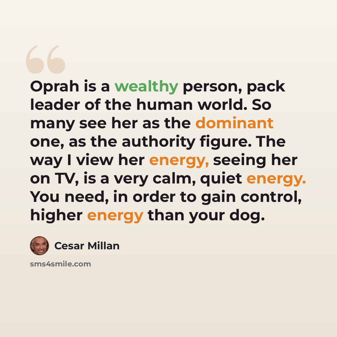 “Oprah is a wealthy person, pack leader of the human world. So many see her as the dominant one, as the authority figure. The way I view her energy, seeing her on TV, is a very calm, quiet energy. You need, in order to gain control, higher energy than your dog.” quote by Cesar Millan