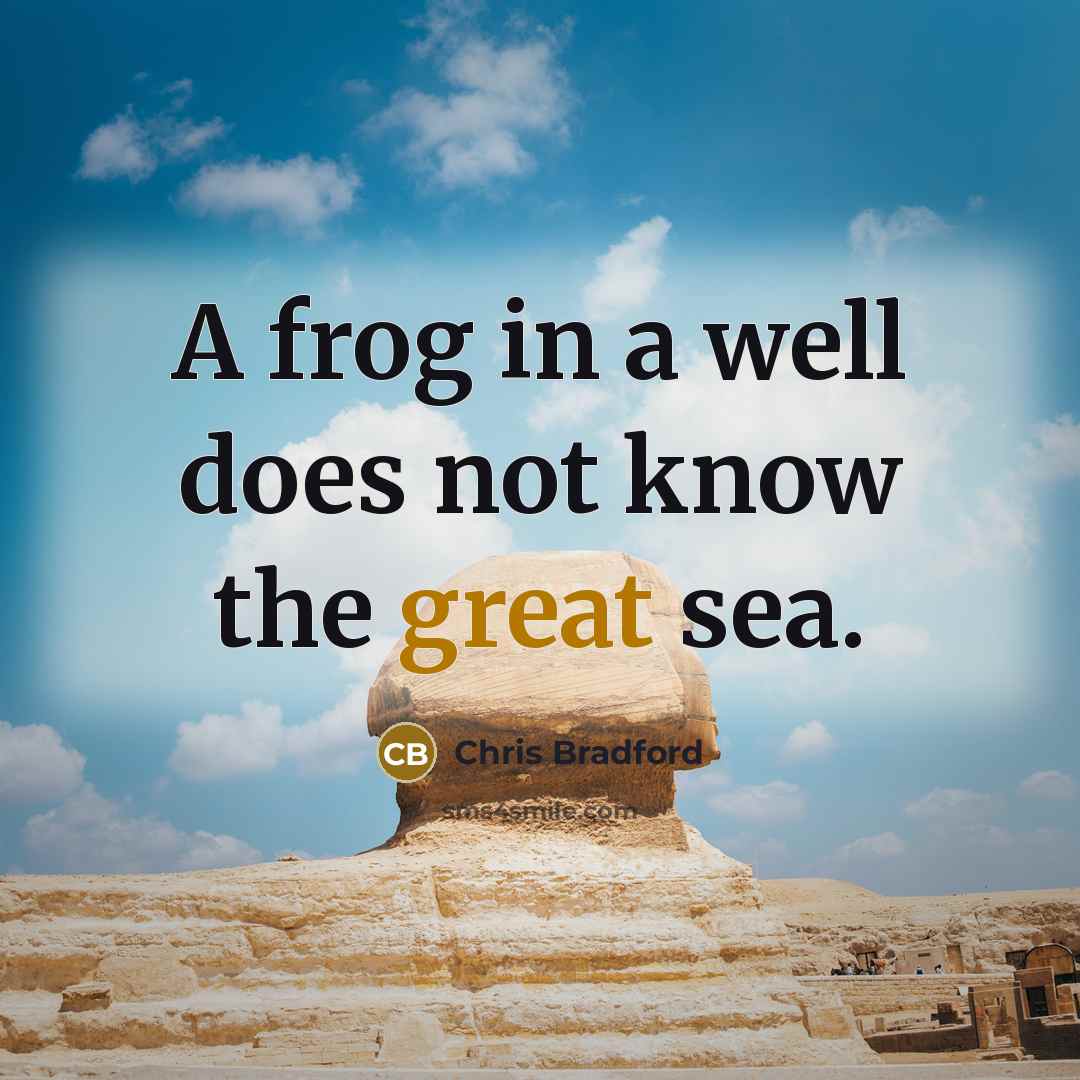 “A frog in a well does not know the great sea.” quote by Chris Bradford