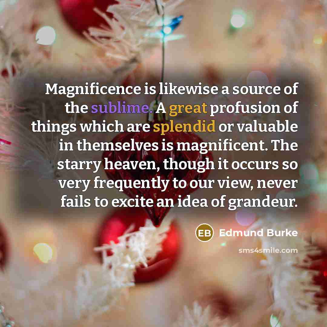 “Magnificence is likewise a source of the sublime. A great profusion of things which are splendid or valuable in themselves is magnificent. The starry heaven, though it occurs so very frequently to our view, never fails to excite an idea of grandeur.” quote by Edmund Burke