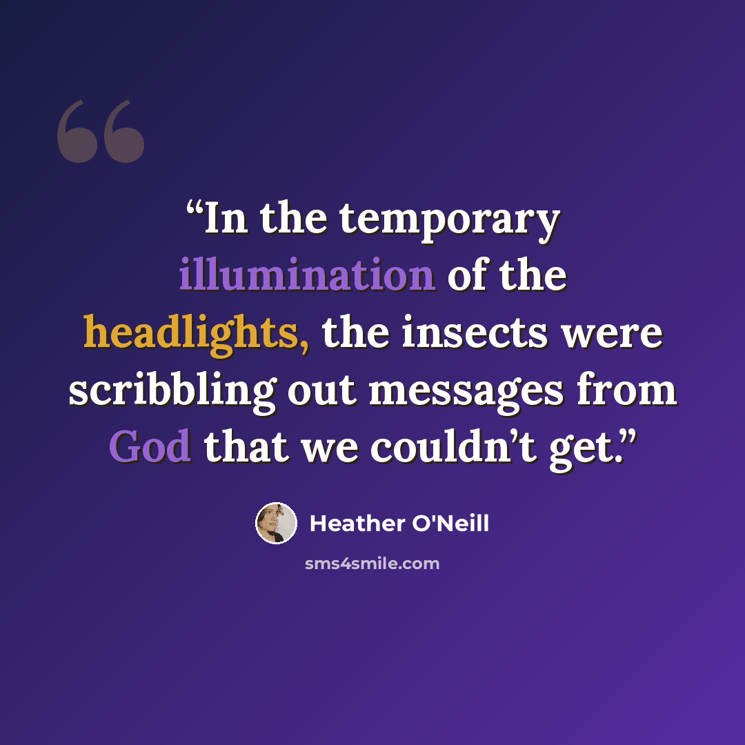 “In the temporary illumination of the headlights, the insects were scribbling out messages from God that we couldn’t get.” quote by Heather O'Neill
