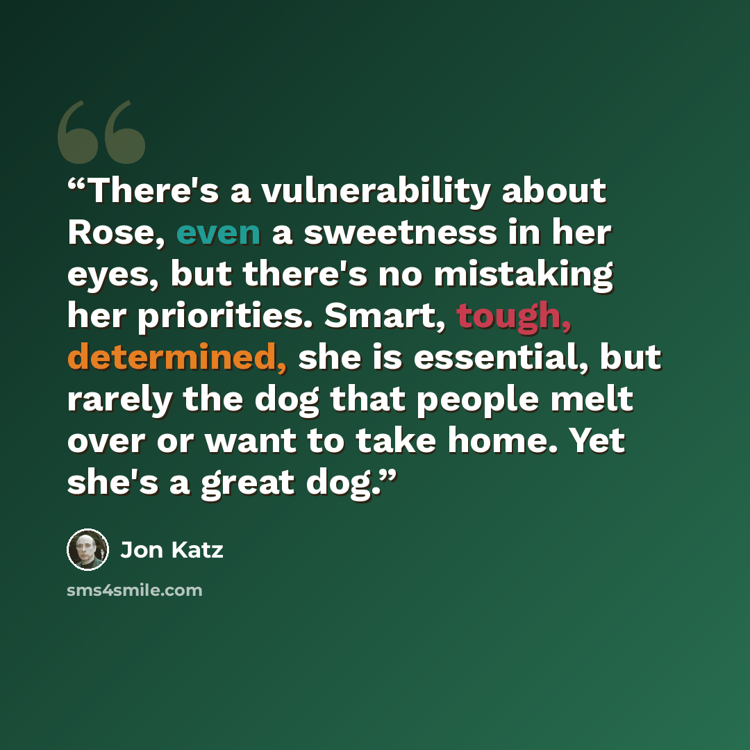 “There's a vulnerability about Rose, even a sweetness in her eyes, but there's no mistaking her priorities. Smart, tough, determined, she is essential, but rarely the dog that people melt over or want to take home. Yet she's a great dog.” quote by Jon Katz