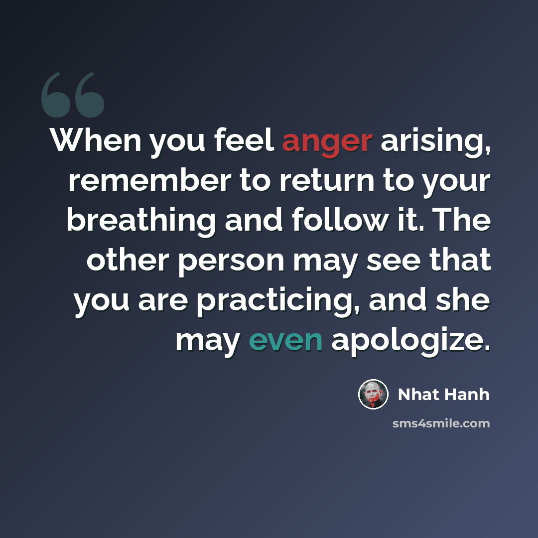“When you feel anger arising, remember to return to your breathing and follow it. The other person may see that you are practicing, and she may even apologize.” quote by Nhat Hanh