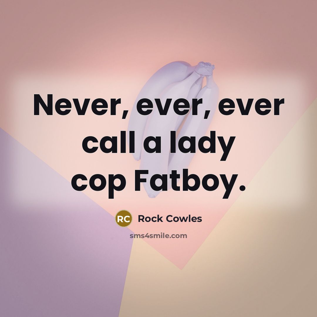 “Never, ever, ever call a lady cop Fatboy.” quote by Rock Cowles