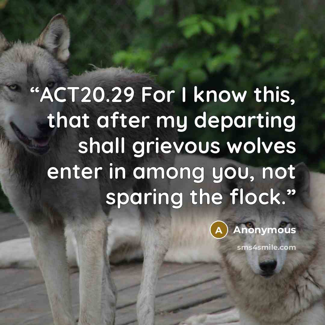 “ACT20.29 For I know this, that after my departing shall grievous wolves enter in among you, not sparing the flock.” quote by Anonymous