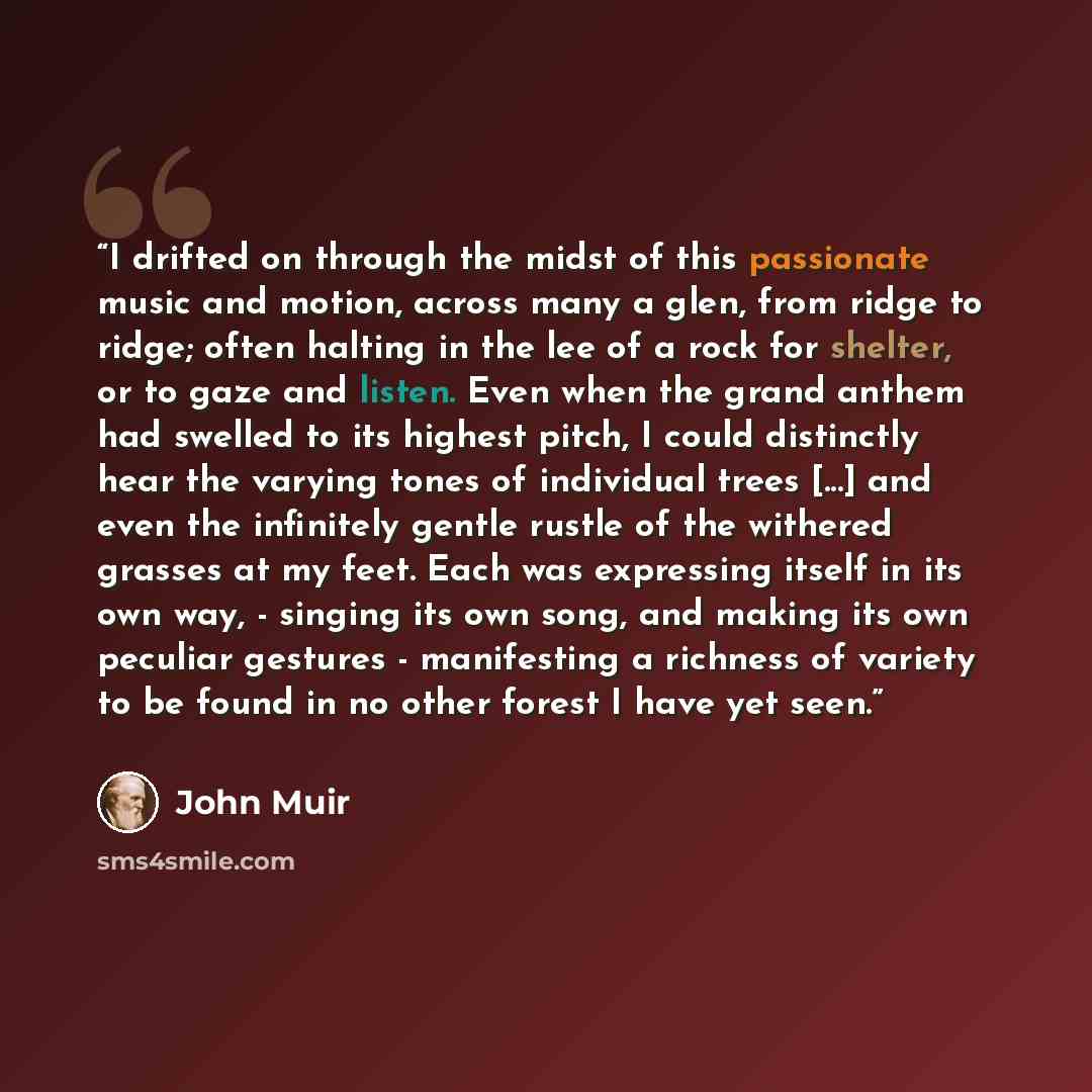 “I drifted on through the midst of this passionate music and motion, across many a glen, from ridge to ridge; often halting in the lee of a rock for shelter, or to gaze and listen. Even when the grand anthem had swelled to its highest pitch, I could distinctly hear the varying tones of individual…” quote by John Muir