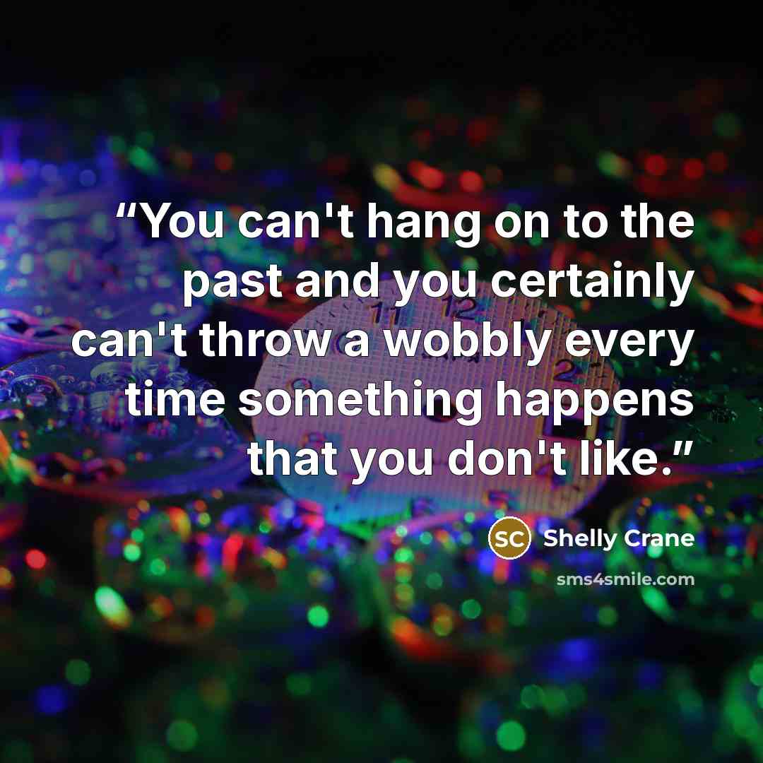 “You can't hang on to the past and you certainly can't throw a wobbly every time something happens that you don't like.” quote by Shelly Crane