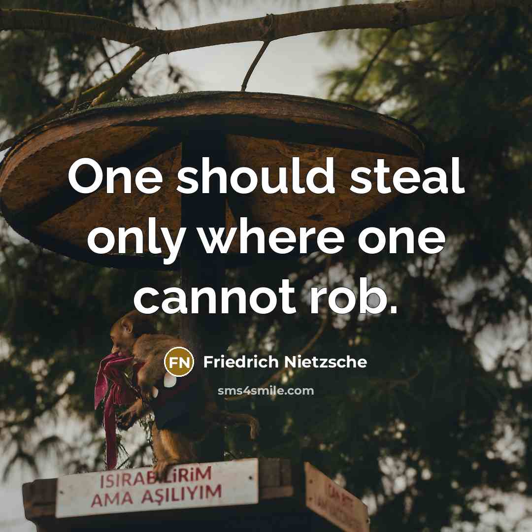 “One should steal only where one cannot rob.” quote by Friedrich Nietzsche