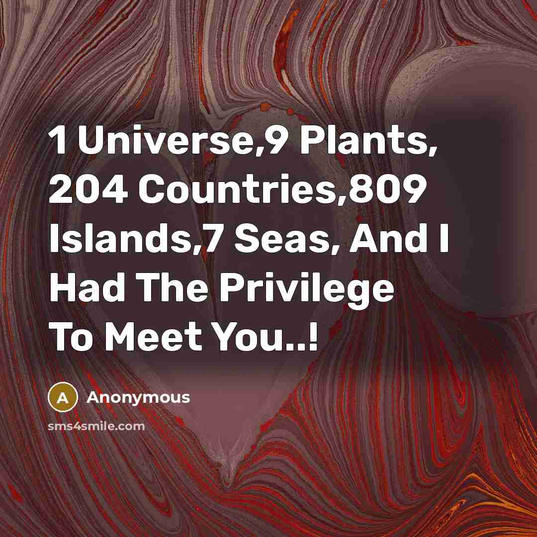 “1 Universe,9 Plants, 204 Countries,809 Islands,7 Seas, And I Had The Privilege To Meet You..!” quote by Anonymous