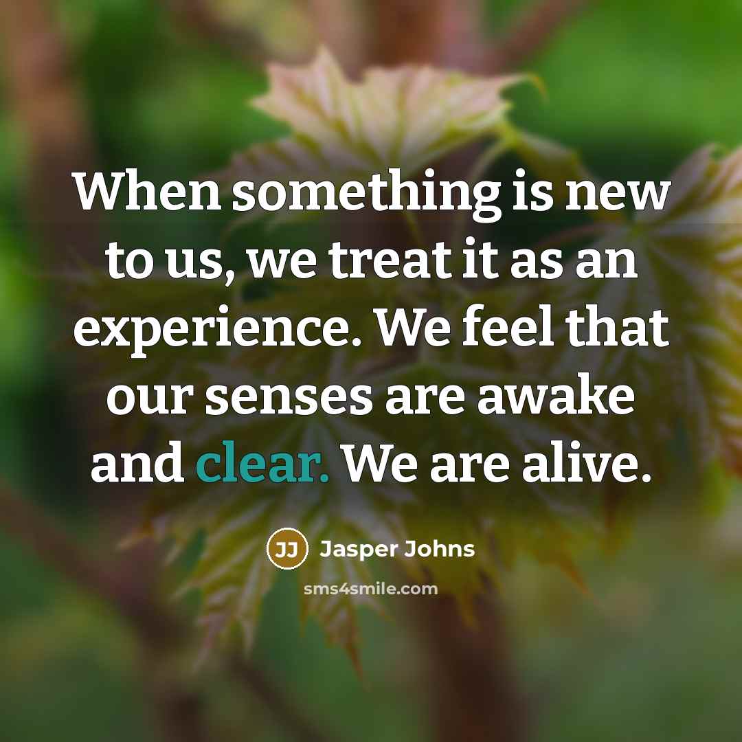 “When something is new to us, we treat it as an experience. We feel that our senses are awake and clear. We are alive.” quote by Jasper Johns