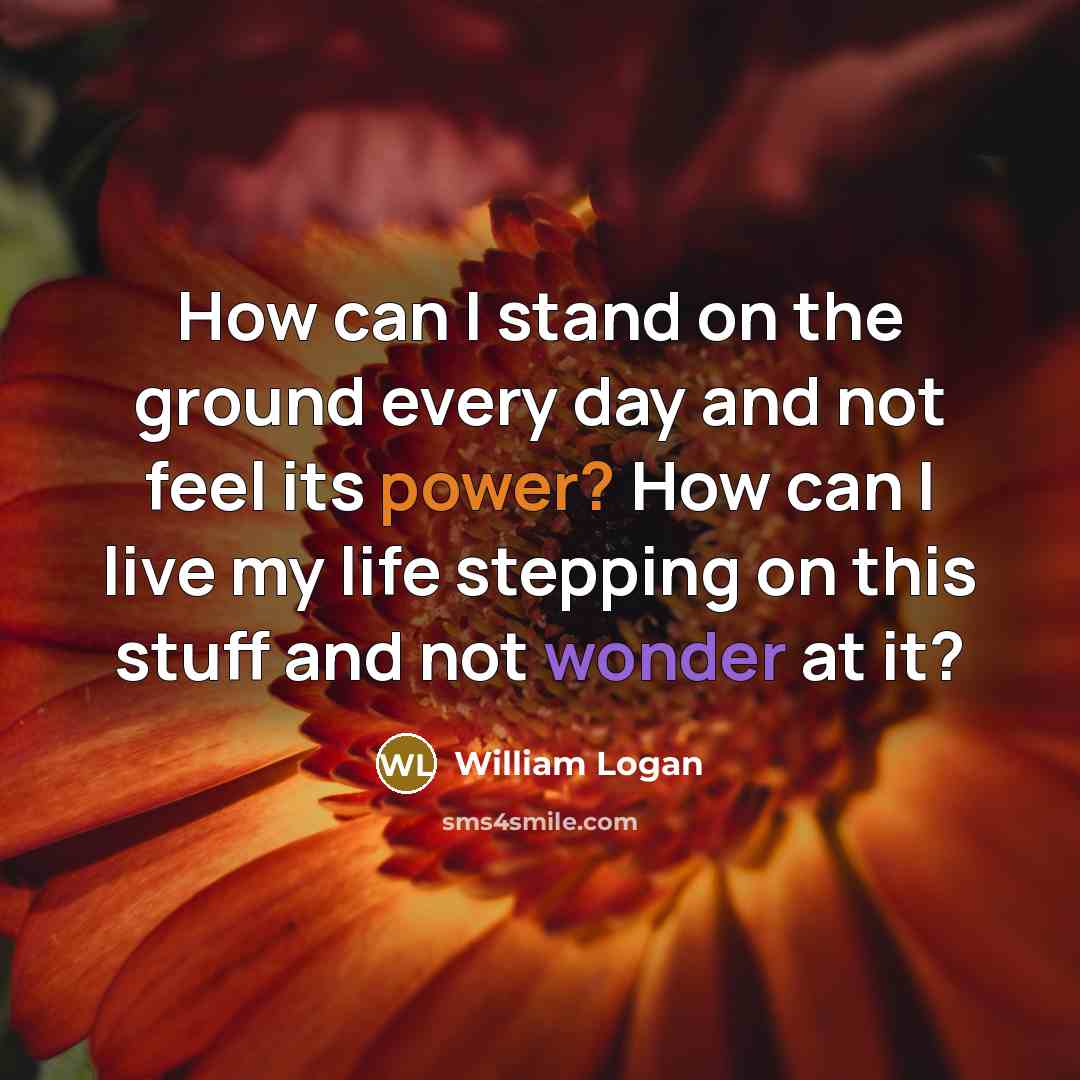 “How can I stand on the ground every day and not feel its power? How can I live my life stepping on this stuff and not wonder at it?” quote by William Logan