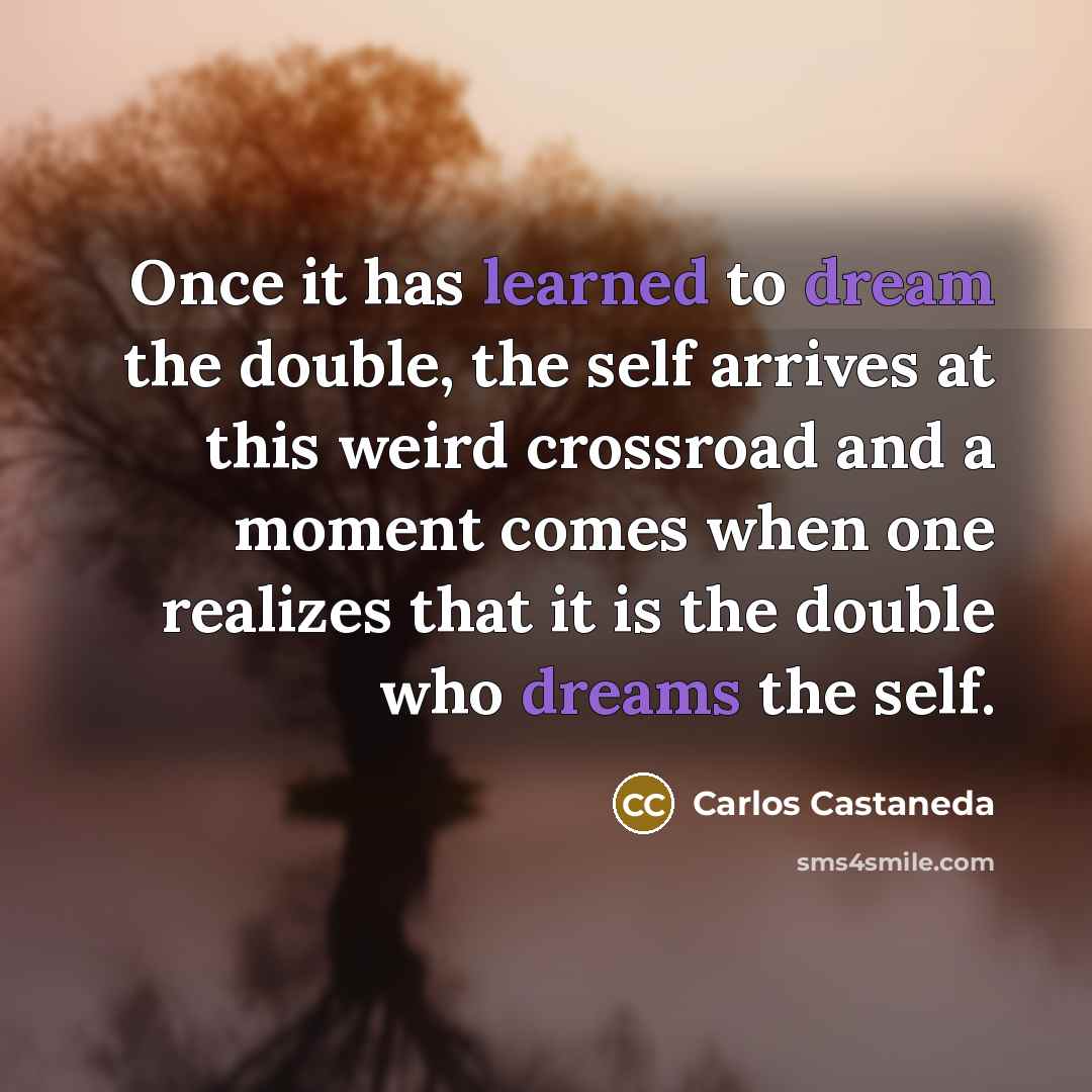 “Once it has learned to dream the double, the self arrives at this weird crossroad and a moment comes when one realizes that it is the double who dreams the self.” quote by Carlos Castaneda