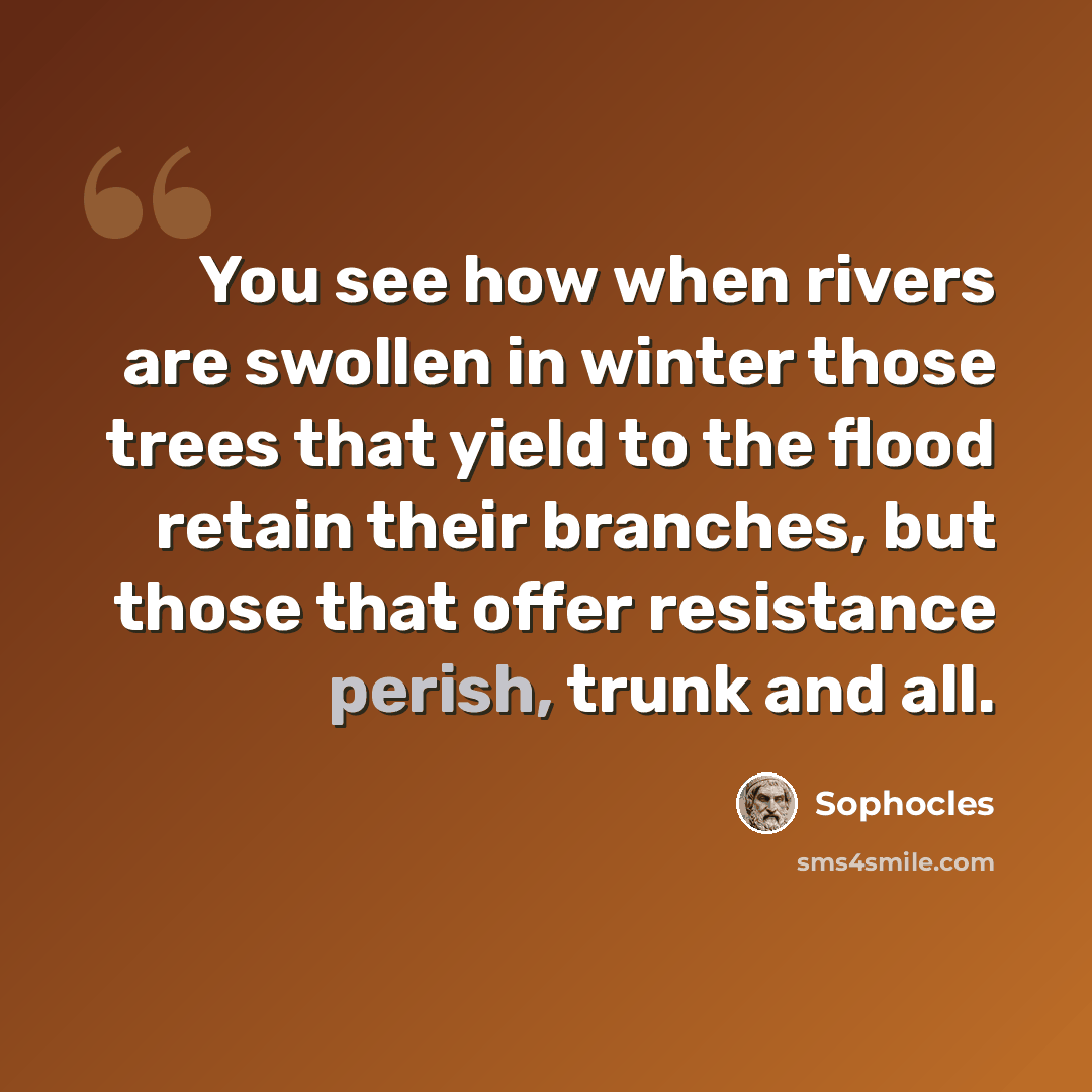 “You see how when rivers are swollen in winter those trees that yield to the flood retain their branches, but those that offer resistance perish, trunk and all.” quote by Sophocles