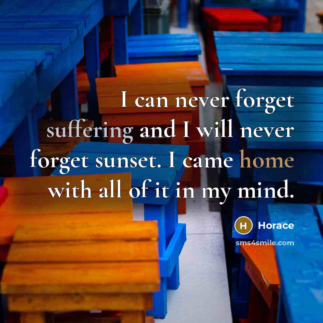“I can never forget suffering and I will never forget sunset. I came home with all of it in my mind.” quote by Horace