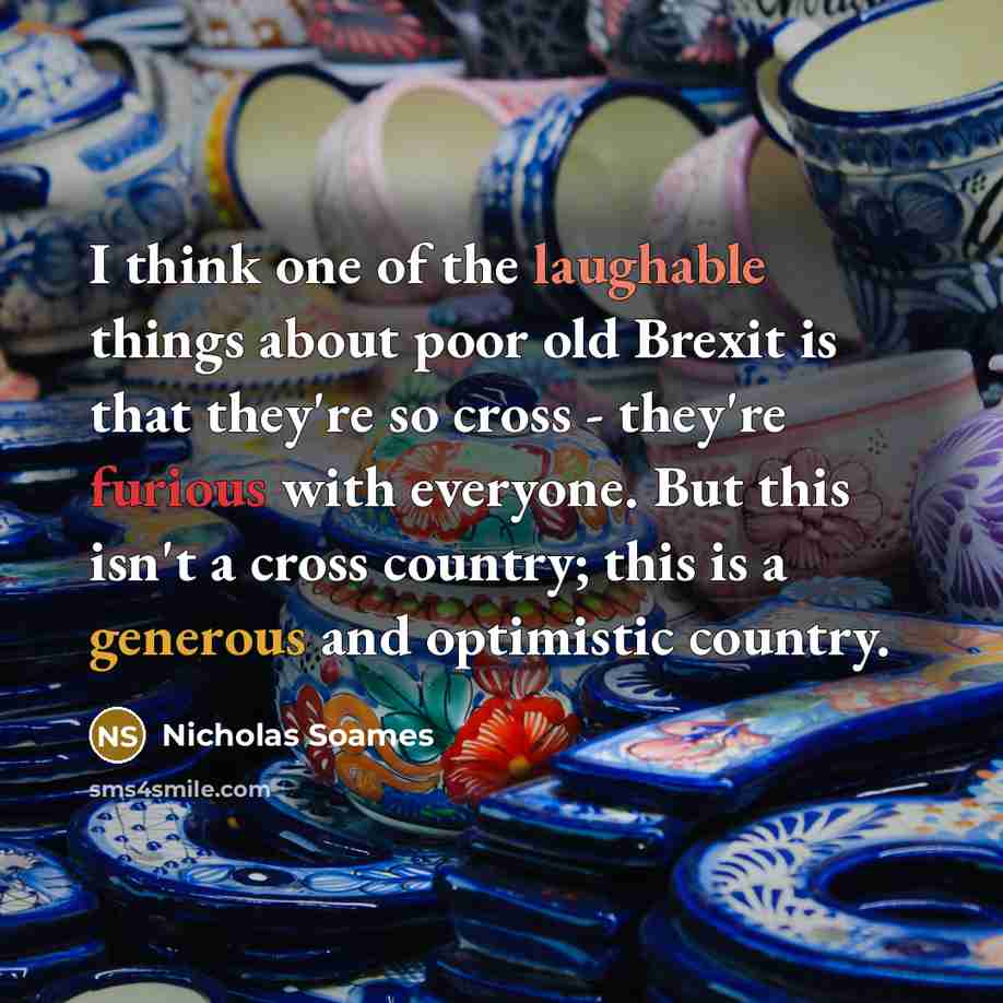 “I think one of the laughable things about poor old Brexit is that they're so cross - they're furious with everyone. But this isn't a cross country; this is a generous and optimistic country.” quote by Nicholas Soames