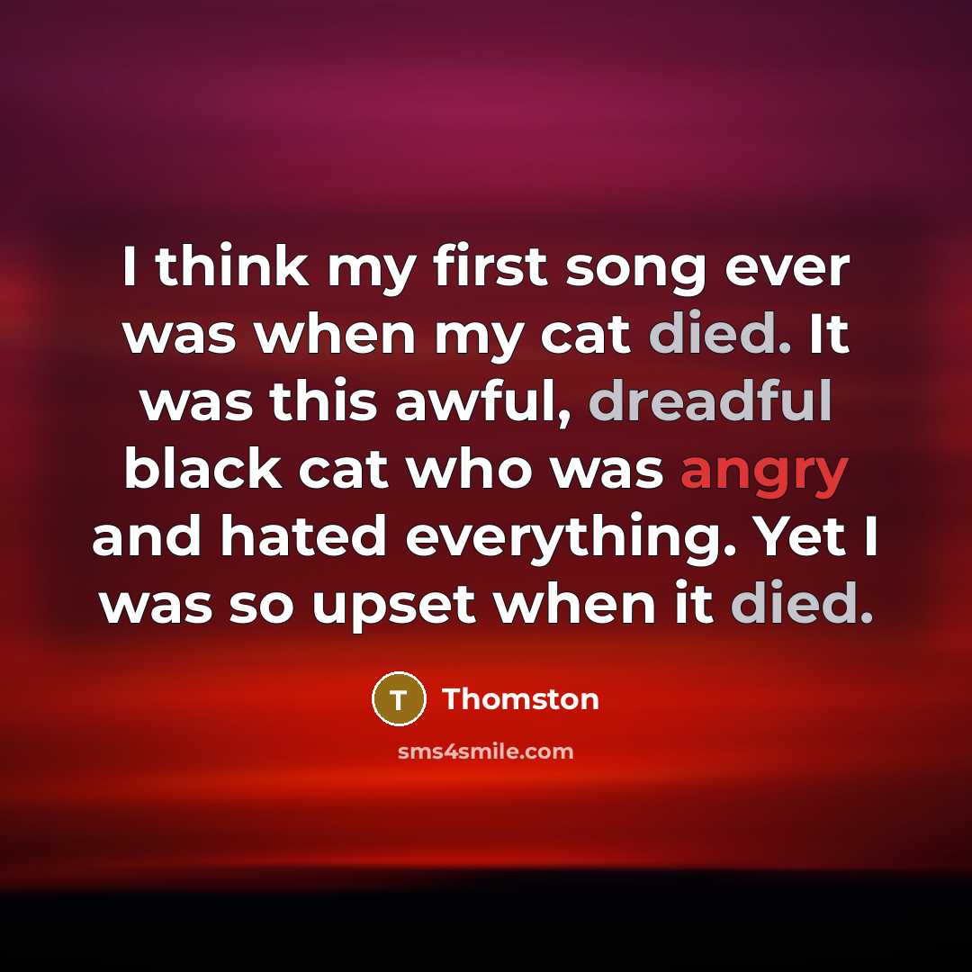 “I think my first song ever was when my cat died. It was this awful, dreadful black cat who was angry and hated everything. Yet I was so upset when it died.” quote by Thomston