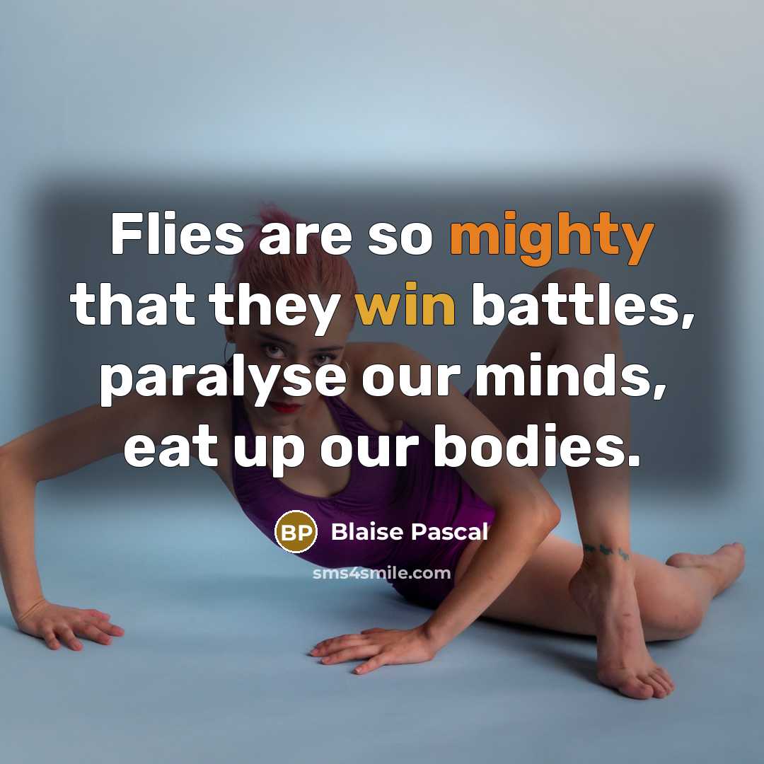 “Flies are so mighty that they win battles, paralyse our minds, eat up our bodies.” quote by Blaise Pascal