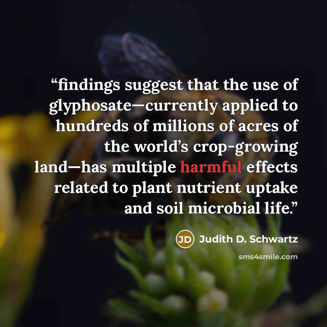 “findings suggest that the use of glyphosate—currently applied to hundreds of millions of acres of the world’s crop-growing land—has multiple harmful effects related to plant nutrient uptake and soil microbial life.” quote by Judith D. Schwartz