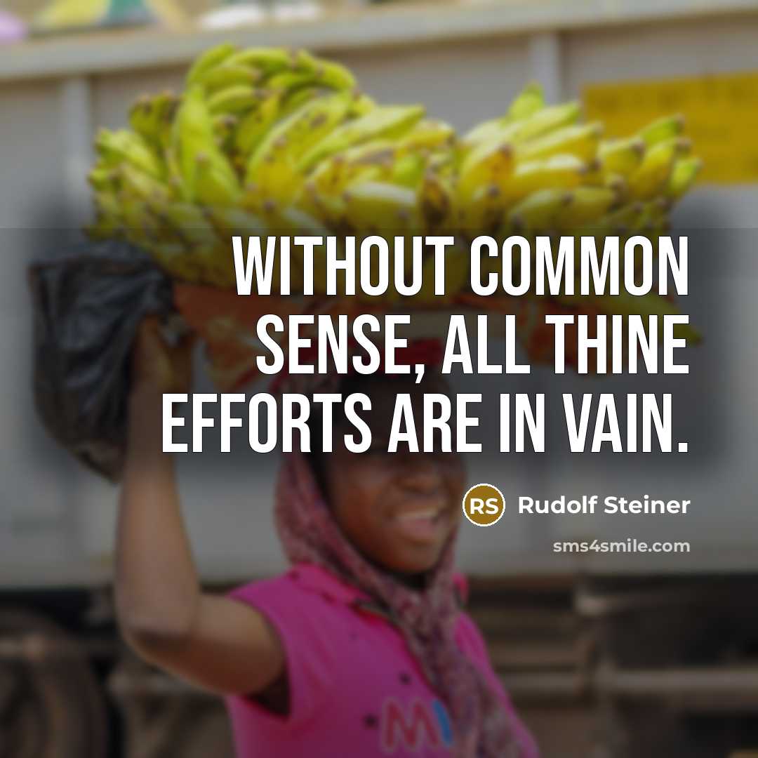 “Without common sense, all thine efforts are in vain.” quote by Rudolf Steiner