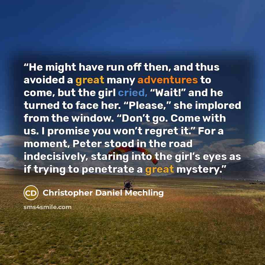 “He might have run off then, and thus avoided a great many adventures to come, but the girl cried, “Wait!” and he turned to face her. “Please,” she implored from the window. “Don’t go. Come with us. I promise you won’t regret it.” For a moment, Peter stood in the road indecisively, staring into the…” quote by Christopher Daniel Mechling
