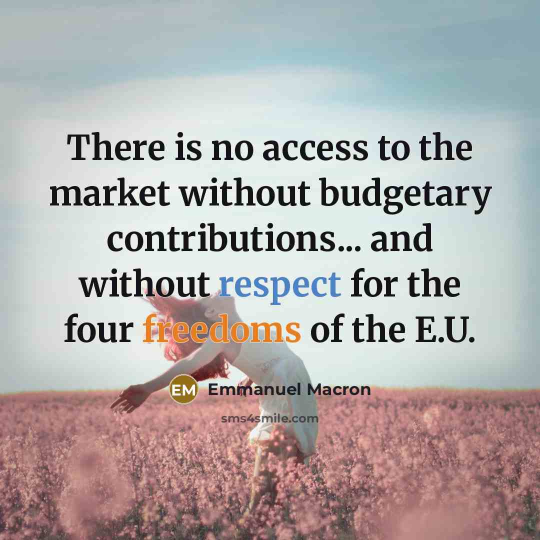 “There is no access to the market without budgetary contributions... and without respect for the four freedoms of the E.U.” quote by Emmanuel Macron