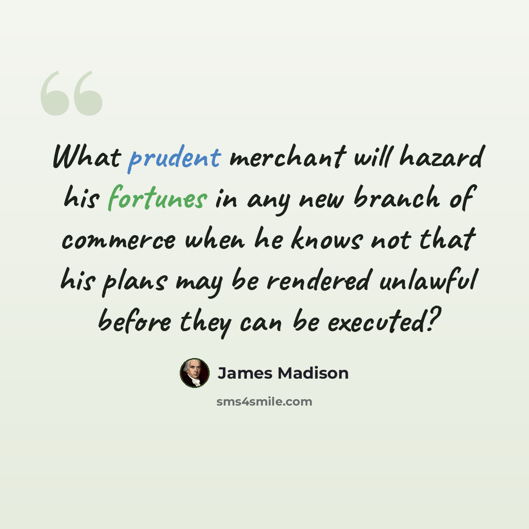 “What prudent merchant will hazard his fortunes in any new branch of commerce when he knows not that his plans may be rendered unlawful before they can be executed?” quote by James Madison