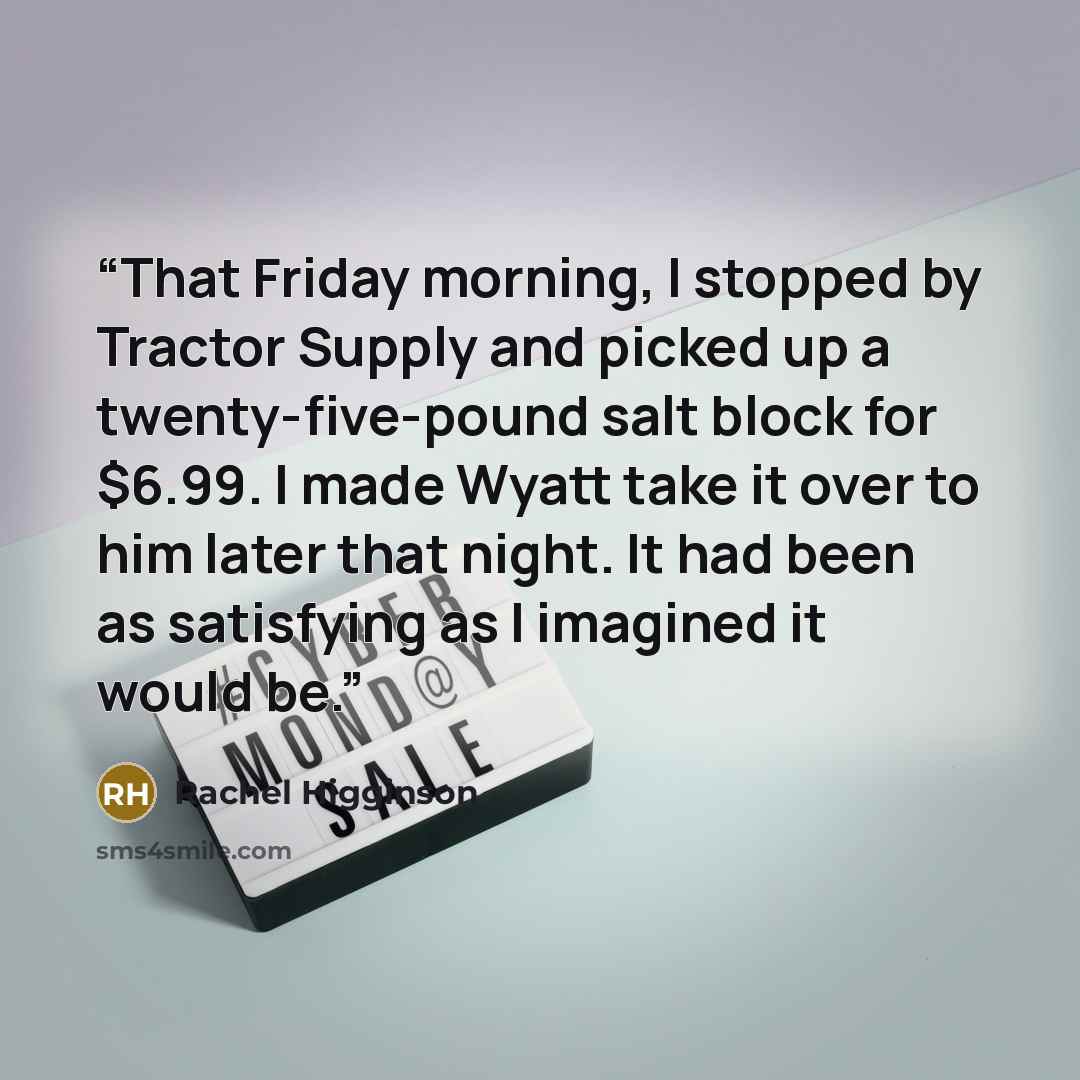 “That Friday morning, I stopped by Tractor Supply and picked up a twenty-five-pound salt block for $6.99. I made Wyatt take it over to him later that night. It had been as satisfying as I imagined it would be.” quote by Rachel Higginson