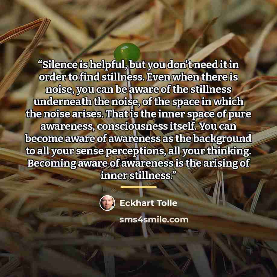 “Silence is helpful, but you don't need it in order to find stillness. Even when there is noise, you can be aware of the stillness underneath the noise, of the space in which the noise arises. That is the inner space of pure awareness, consciousness itself. You can become aware of awareness as the…” quote by Eckhart Tolle