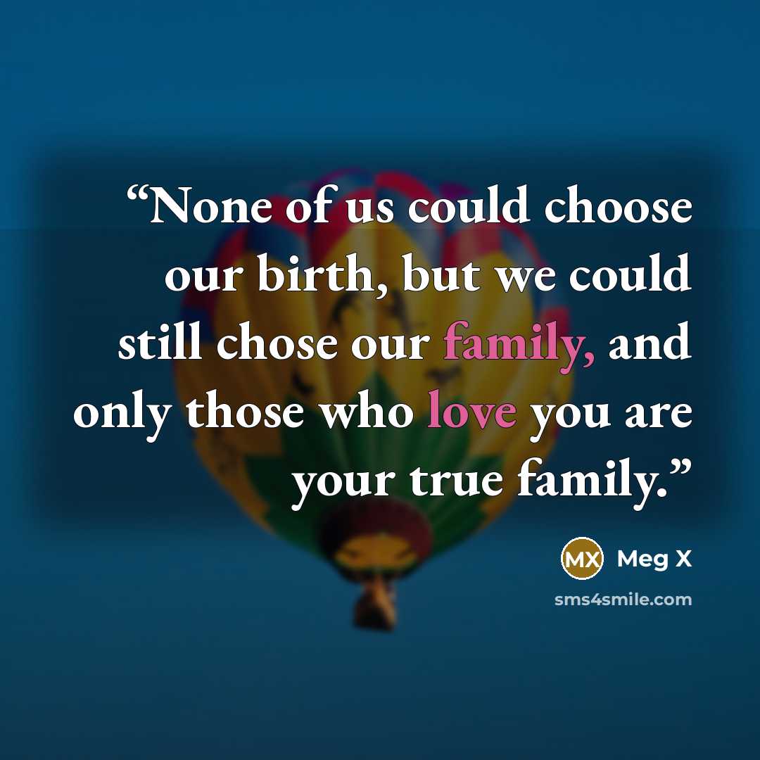 “None of us could choose our birth, but we could still chose our family, and only those who love you are your true family.” quote by Meg X