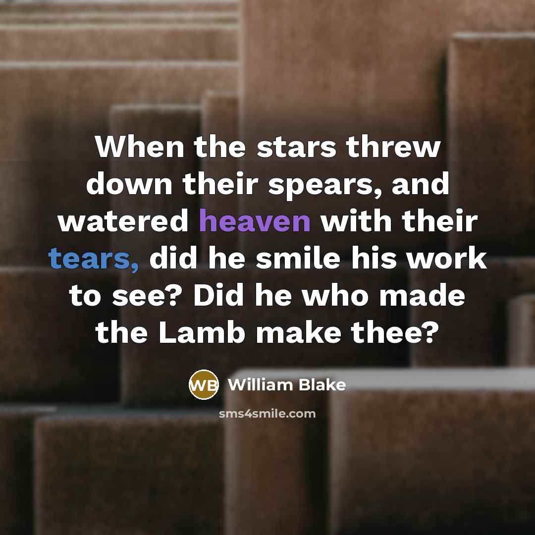 “When the stars threw down their spears, and watered heaven with their tears, did he smile his work to see? Did he who made the Lamb make thee?” quote by William Blake