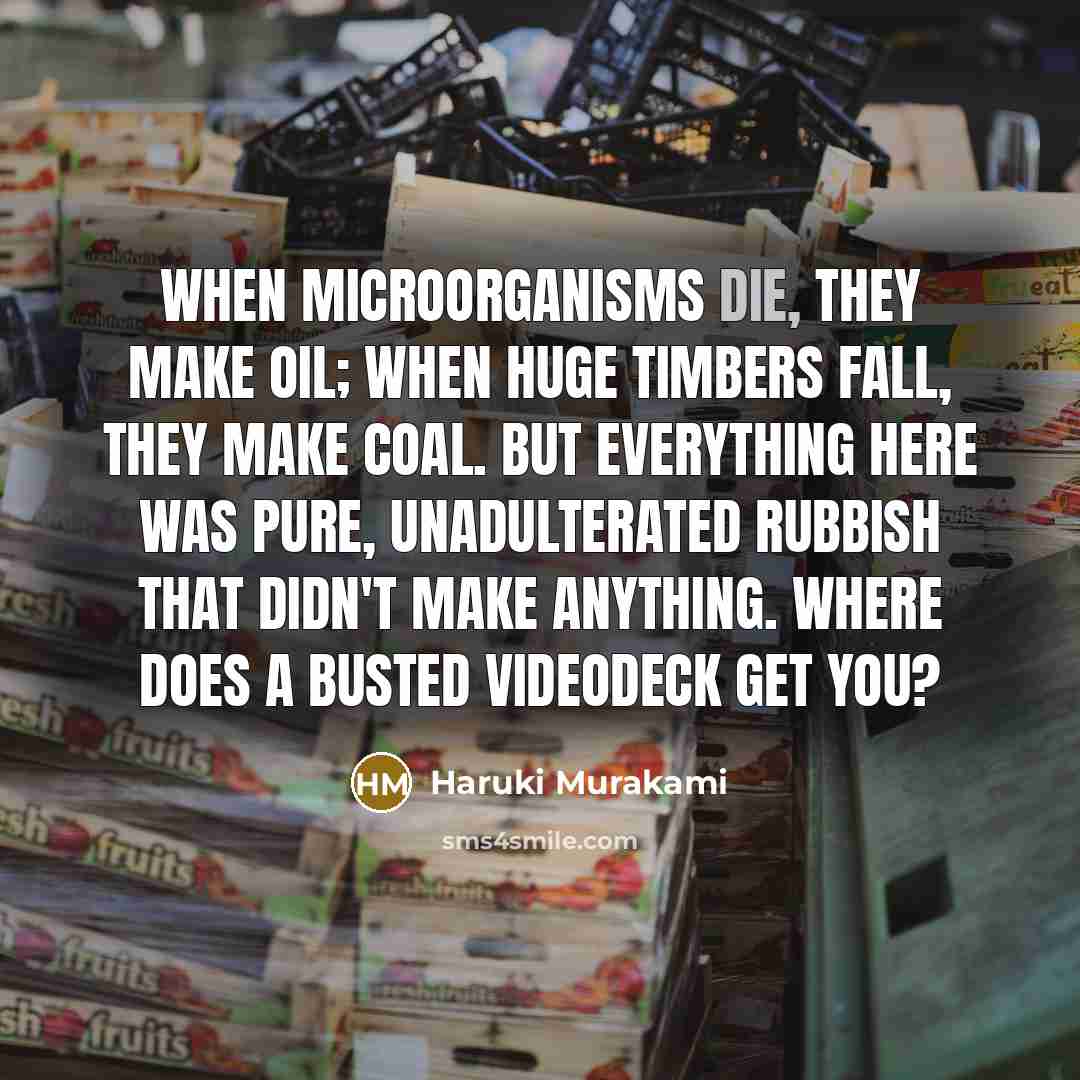 “When microorganisms die, they make oil; when huge timbers fall, they make coal. But everything here was pure, unadulterated rubbish that didn't make anything. Where does a busted videodeck get you?” quote by Haruki Murakami