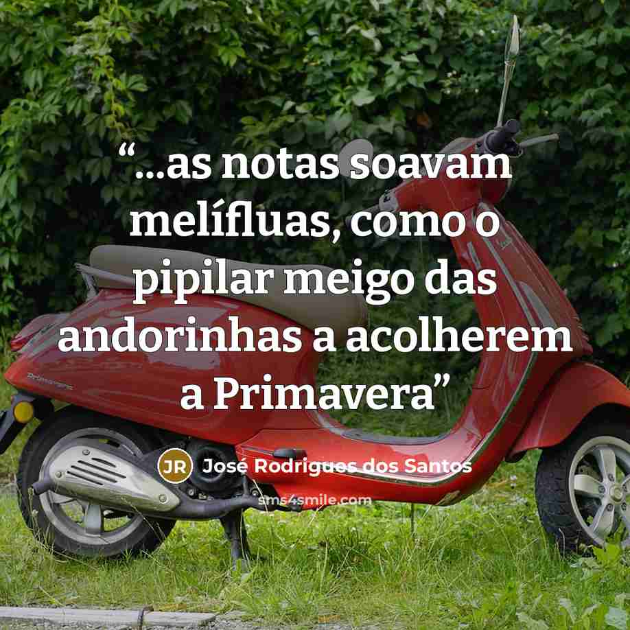 “...as notas soavam melífluas, como o pipilar meigo das andorinhas a acolherem a Primavera” quote by José Rodrigues dos Santos