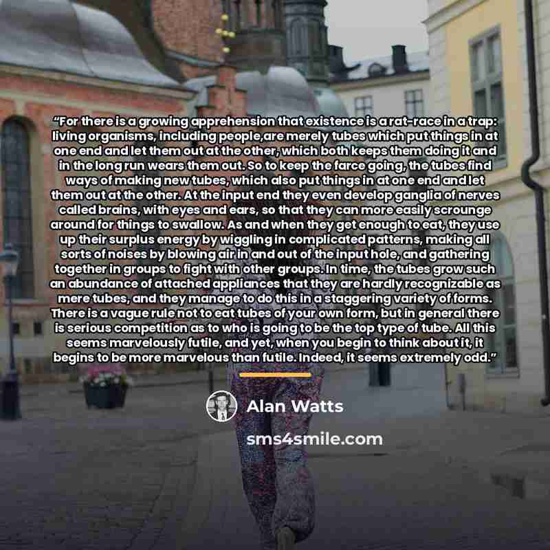 “For there is a growing apprehension that existence is a rat-race in a trap: living organisms, including people,are merely tubes which put things in at one end and let them out at the other, which both keeps them doing it and in the long run wears them out. So to keep the farce going, the tubes…” quote by Alan Watts