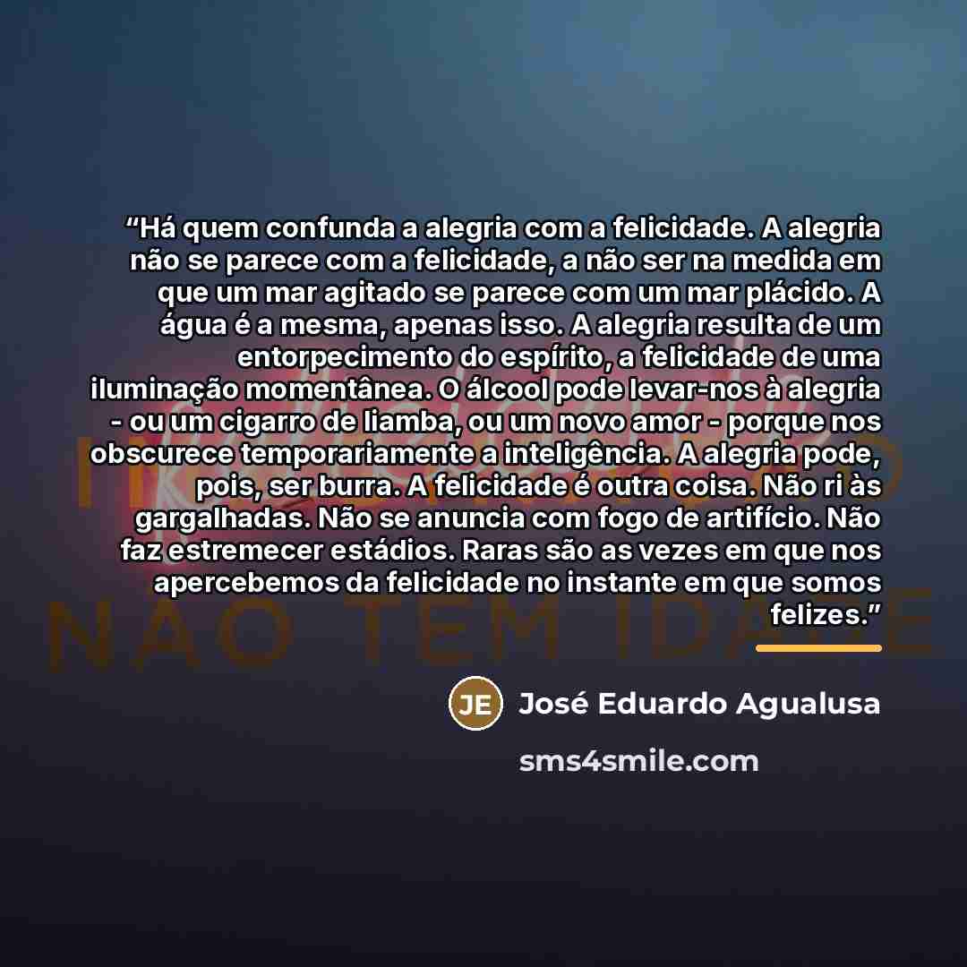 “Há quem confunda a alegria com a felicidade. A alegria não se parece com a felicidade, a não ser na medida em que um mar agitado se parece com um mar plácido. A água é a mesma, apenas isso. A alegria resulta de um entorpecimento do espírito, a felicidade de uma iluminação momentânea. O álcool pode…” quote by José Eduardo Agualusa