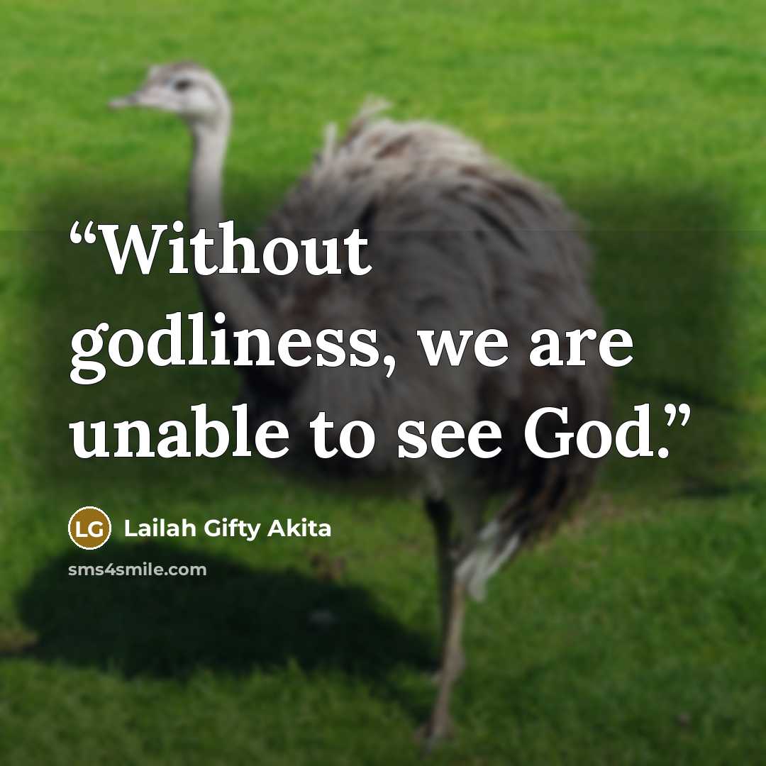 “Without godliness, we are unable to see God.” quote by Lailah Gifty Akita