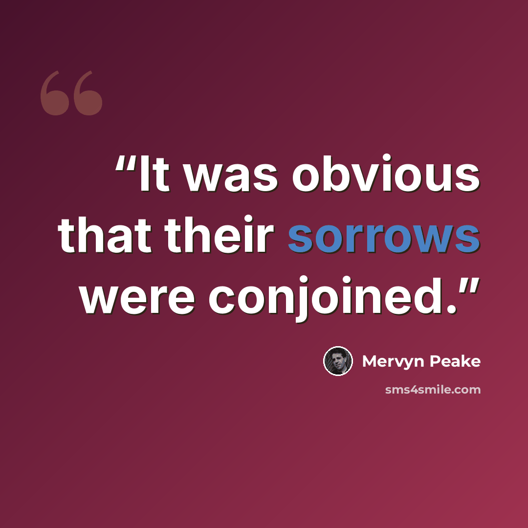 “It was obvious that their sorrows were conjoined.” quote by Mervyn Peake