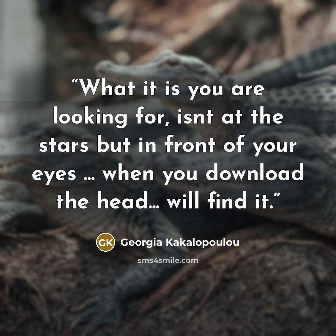 “What it is you are looking for, isnt at the stars but in front of your eyes ... when you download the head... will find it.” quote by Georgia Kakalopoulou