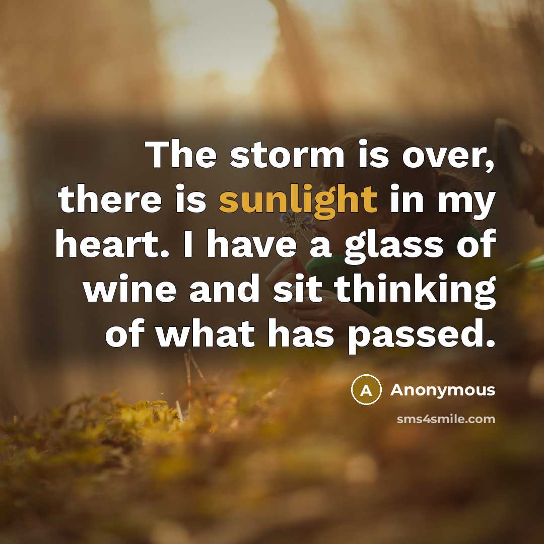 “The storm is over, there is sunlight in my heart. I have a glass of wine and sit thinking of what has passed.” quote by Anonymous