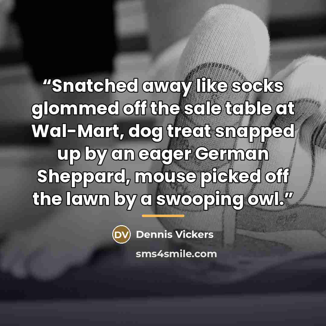“Snatched away like socks glommed off the sale table at Wal-Mart, dog treat snapped up by an eager German Sheppard, mouse picked off the lawn by a swooping owl.” quote by Dennis Vickers