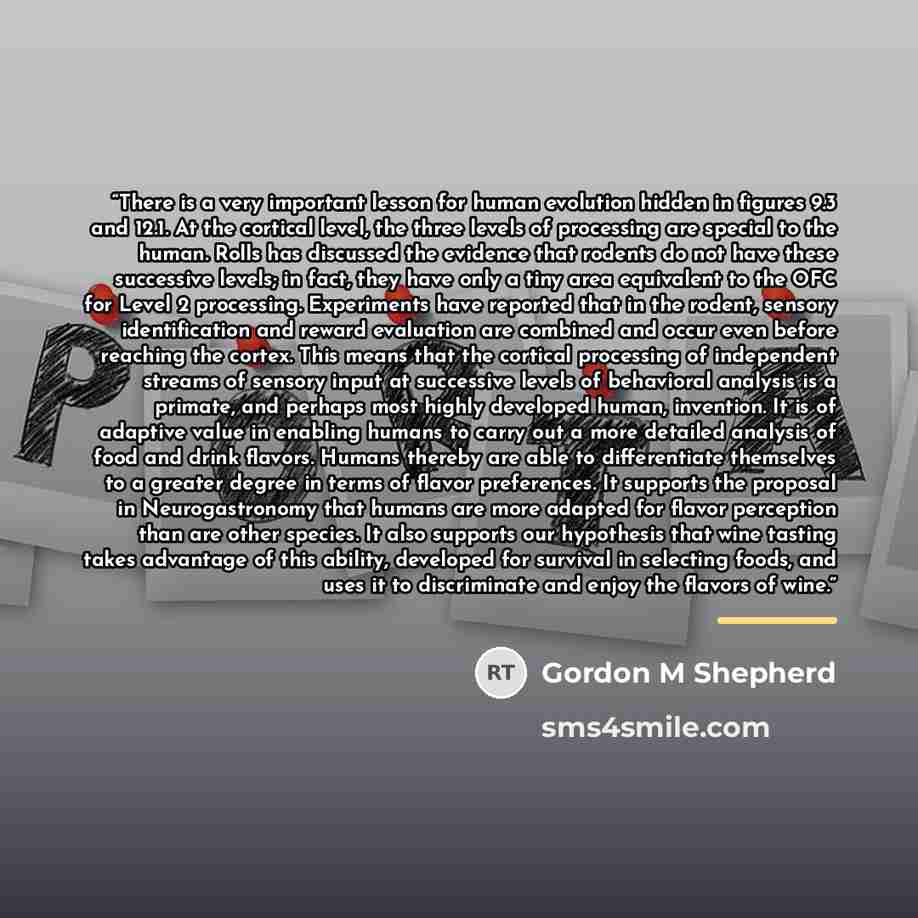 “There is a very important lesson for human evolution hidden in figures 9.3 and 12.1. At the cortical level, the three levels of processing are special to the human. Rolls has discussed the evidence that rodents do not have these successive levels; in fact, they have only a tiny area equivalent to…” quote by Gordon M Shepherd