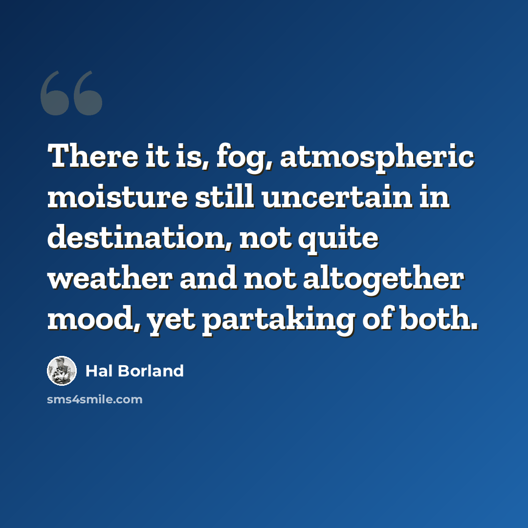 “There it is, fog, atmospheric moisture still uncertain in destination, not quite weather and not altogether mood, yet partaking of both.” quote by Hal Borland