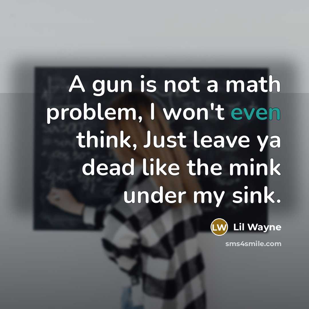 “A gun is not a math problem, I won't even think, Just leave ya dead like the mink under my sink.” quote by Lil Wayne