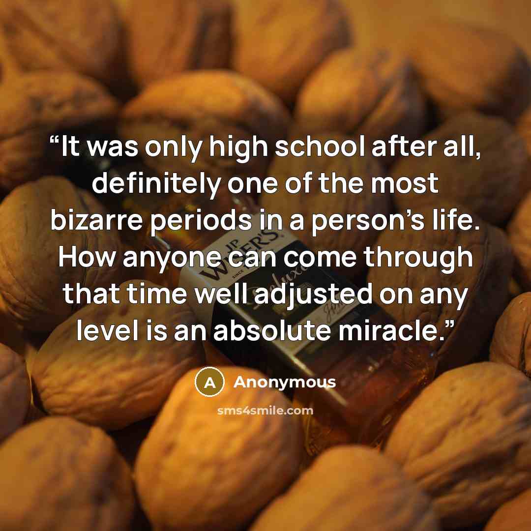 “It was only high school after all, definitely one of the most bizarre periods in a person’s life. How anyone can come through that time well adjusted on any level is an absolute miracle.” quote by Anonymous