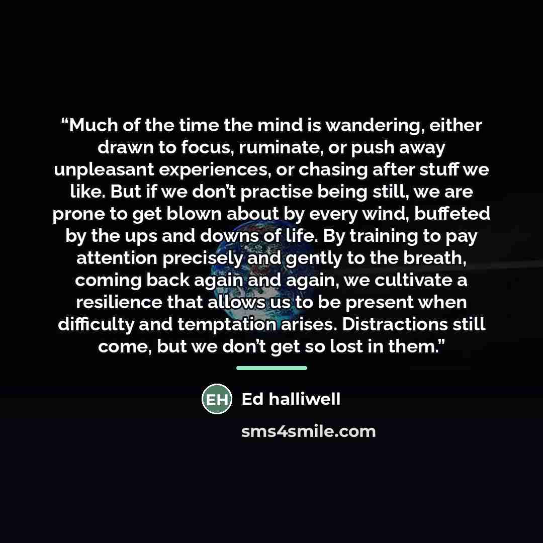 “Much of the time the mind is wandering, either drawn to focus, ruminate, or push away unpleasant experiences, or chasing after stuff we like. But if we don’t practise being still, we are prone to get blown about by every wind, buffeted by the ups and downs of life. By training to pay attention…” quote by Ed Halliwell