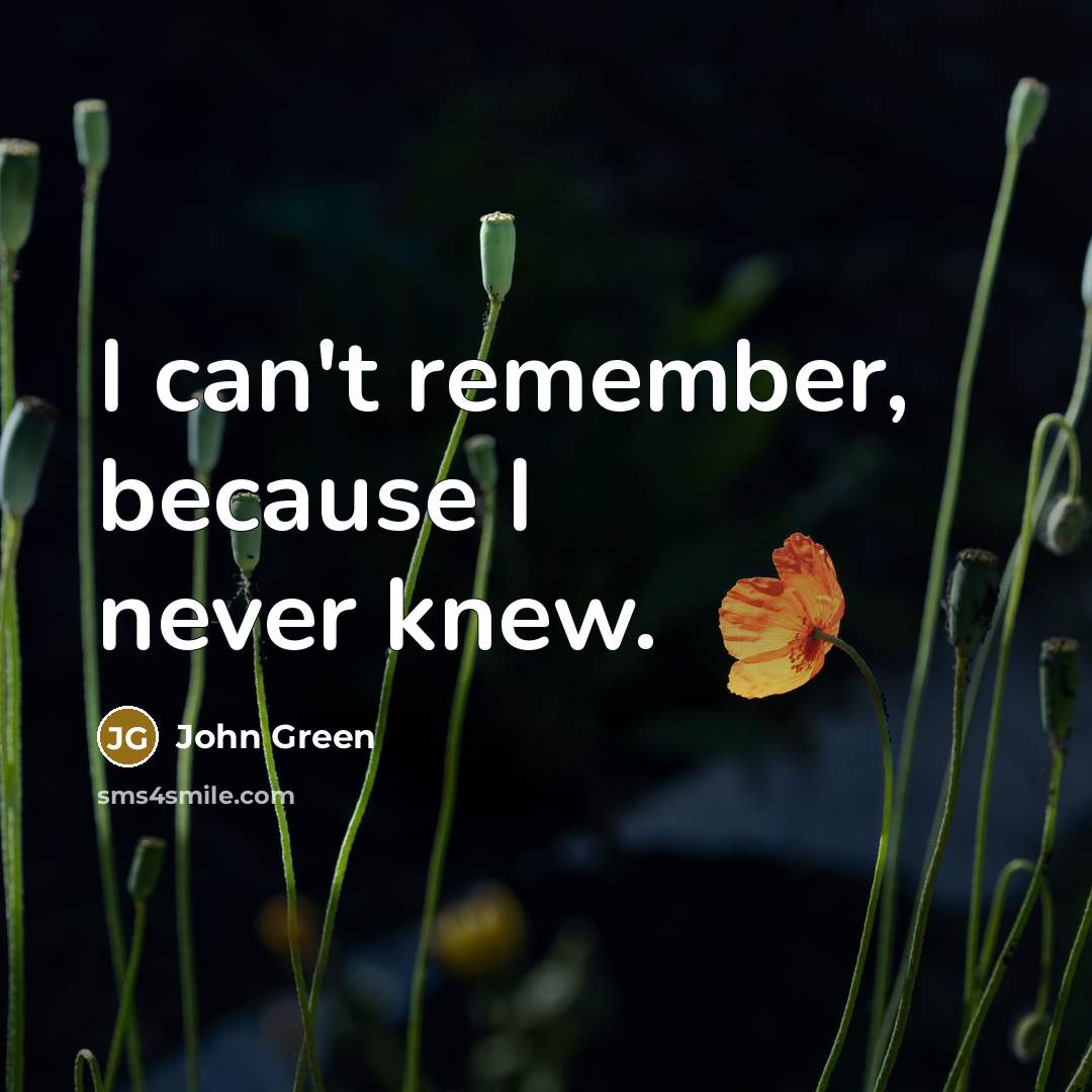 “I can't remember, because I never knew.” quote by John Green