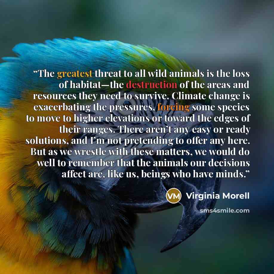 “The greatest threat to all wild animals is the loss of habitat—the destruction of the areas and resources they need to survive. Climate change is exacerbating the pressures, forcing some species to move to higher elevations or toward the edges of their ranges. There aren’t any easy or ready…” quote by Virginia Morell