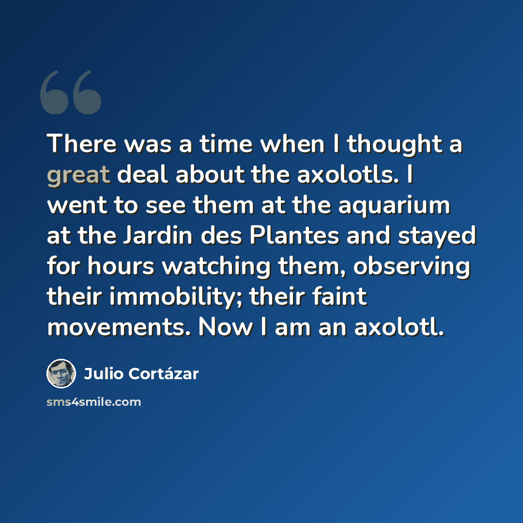“There was a time when I thought a great deal about the axolotls. I went to see them at the aquarium at the Jardin des Plantes and stayed for hours watching them, observing their immobility; their faint movements. Now I am an axolotl.” quote by Julio Cortazar
