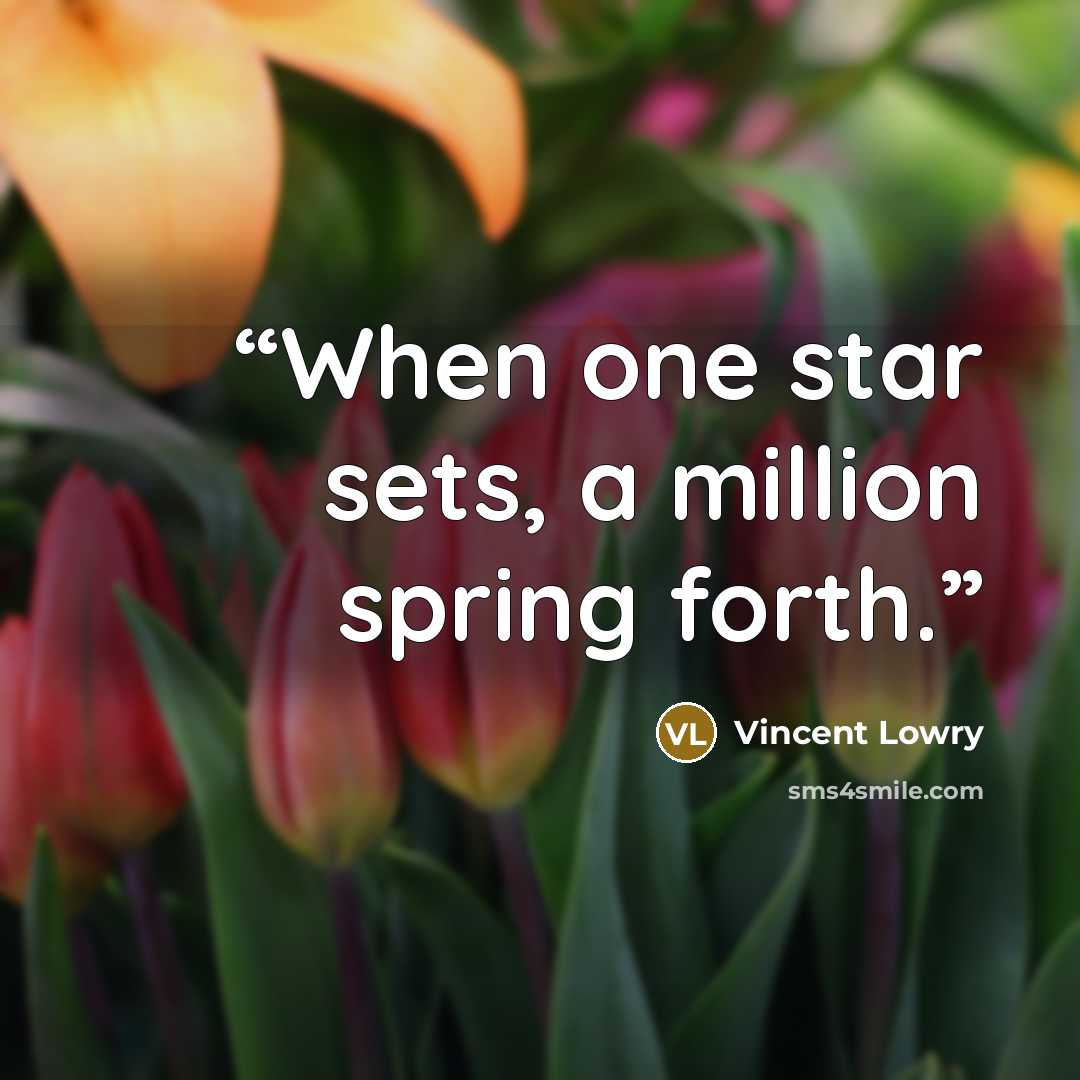 “When one star sets, a million spring forth.” quote by Vincent Lowry
