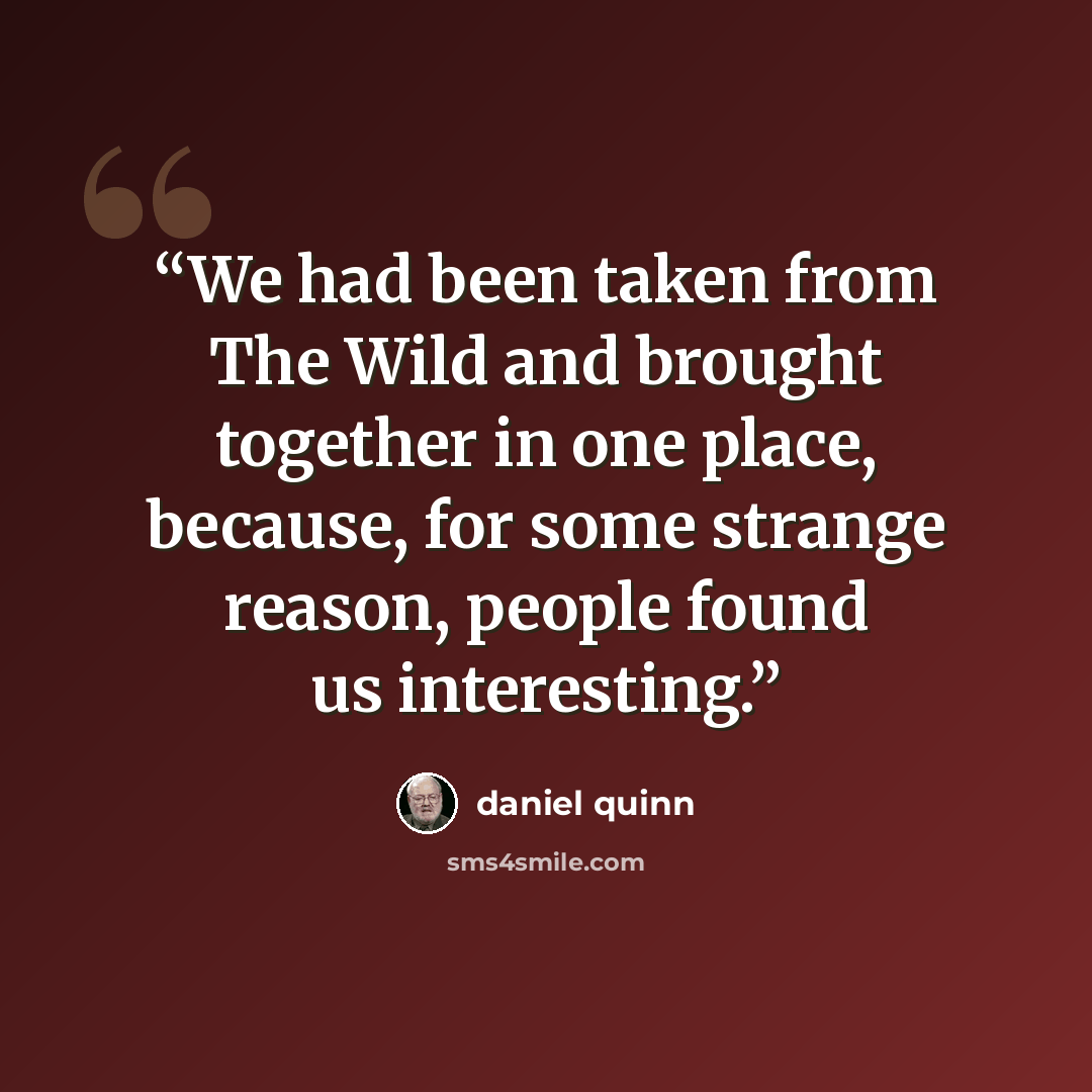 “We had been taken from The Wild and brought together in one place, because, for some strange reason, people found us interesting.” quote by Daniel Quinn