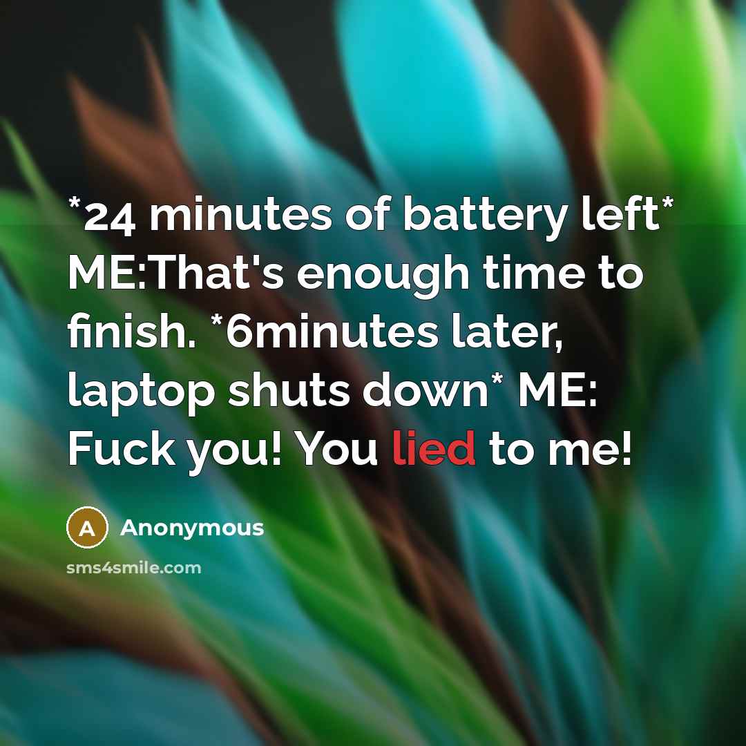 “*24 minutes of battery left* ME:That's enough time to finish. *6minutes later, laptop shuts down* ME: Fuck you! You lied to me!” quote by Anonymous
